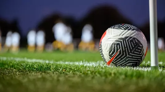 stock - soccer ball