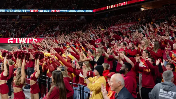 Women's Basketball Fans