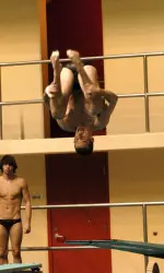 Fagan claimed his third career All-America certificate with 15th on the one-meter at NCAAs.