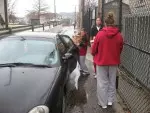 Members of the Indiana women's basketball team spent the afternoon transporting supplies for the Shalom Community Center of Bloomington.