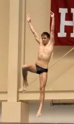 David Piercy won the 1-meter springboard in a dual meet victory over Kentucky.