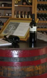 Maribor Winery
