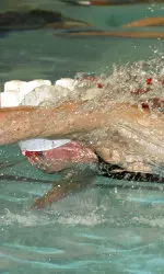 Bryan Chovanec ranks 12th in the nation in the 50 freestyle this season.