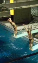 In the synchronized 3-meter diving exhibition event, Darian Schmidt and Mick Dell'Orco finished first.