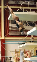 Sophomore Laura Ryan earned honorable mention All-America honors with a 12th-place finish on the 1-meter springboard.