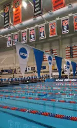 Three Hoosiers have made it back for tonight's finals session on day one of the NCAA Swimming and Diving Championships.