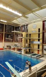 John Wingfield has joined the IU diving program as assistant coach.