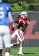 Sophomore wide receiver Shane Wynn pulls in a pass during Tuesday's practice.