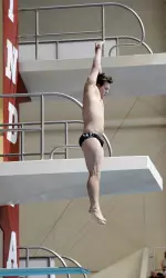 Sophomore Joshua Arndt finished 12th in the men's 1-meter springboard competition on Wednesday.