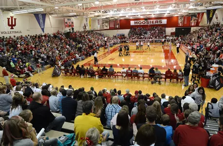 Volleyball Crowd