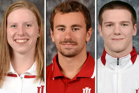 King, Pieroni, Arndt