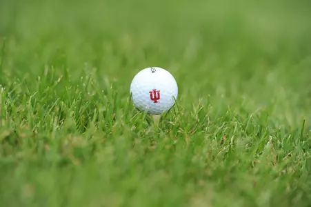 GOLF BALL ON TEE