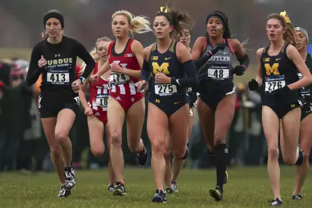 TERRE HAUTE, IN - 2018.11.09 -  NCAA Regionals