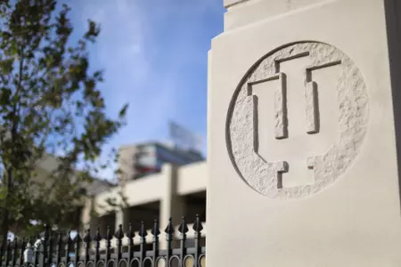 IU Logo Excellence Academy Wall