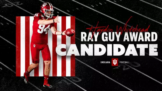 Whitehead Ray Guy Award