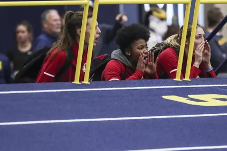 ANN ARBOR, MI - 2019.02.22 -  Big Ten Indoor Track & Field Championships