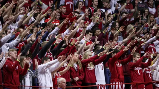 Fans, Crowd