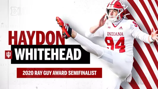 Whitehead Ray Guy Award