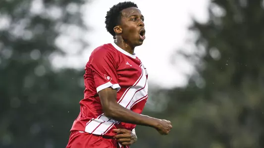 Maouloune Goumballe v WIS