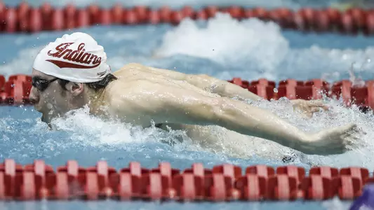 Corey Gambardella v OSU