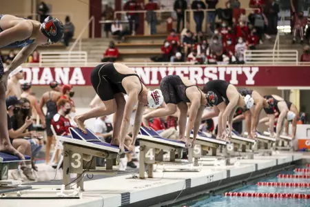 Indiana Swimming and Diving