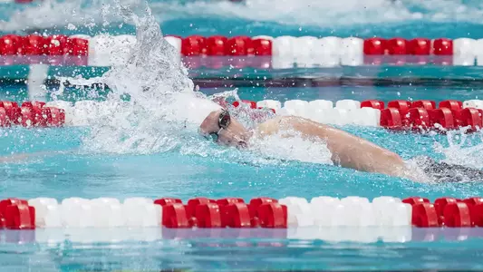 Indiana Swimming and Diving