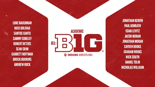 Wrestling Academic All-Big Ten