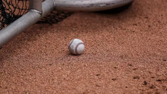 Generic | Baseball