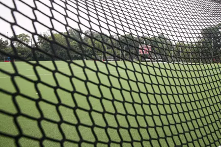 Field 6