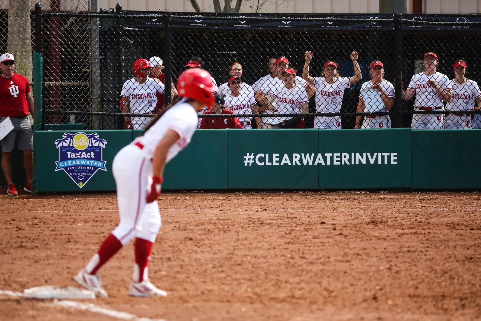 CLEARWATER, FL - February 16, 2023 - during the game between the Louisiana Ragin' Cajuns and the Indiana Hoosiers at Eddie C. Moore Complex in Clearwater, FL. Photo By Trent Barnhart/Indiana Athletics
