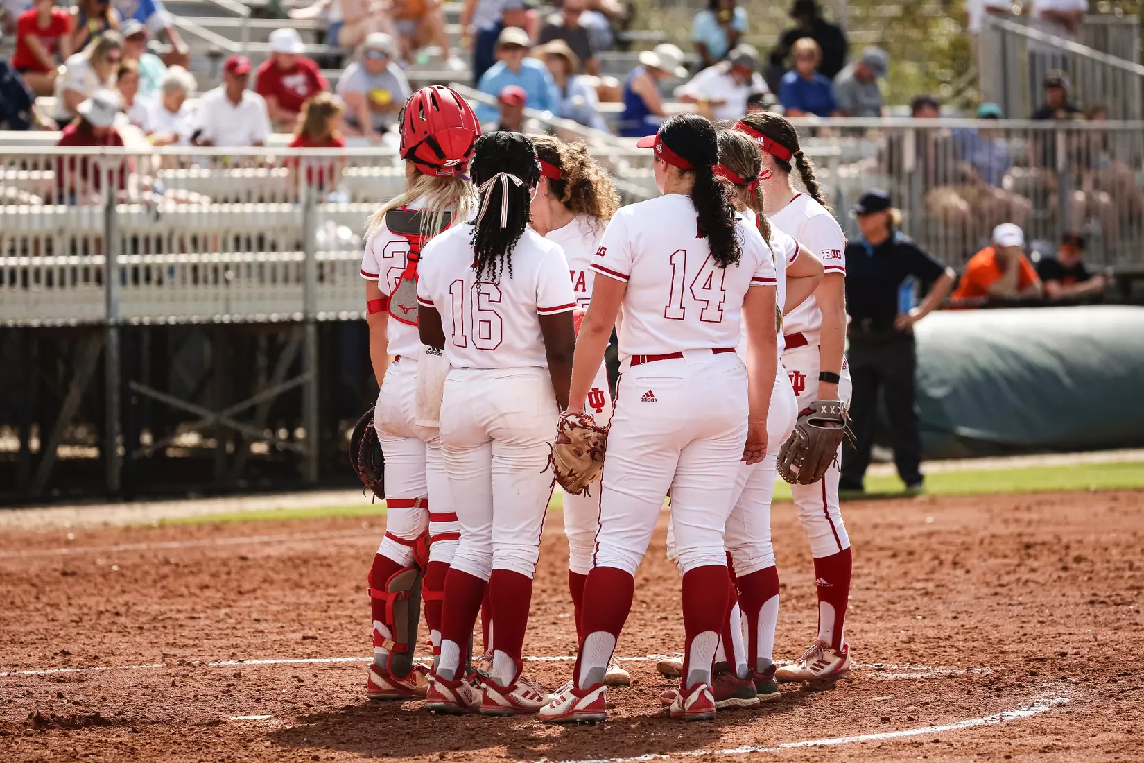 CLEARWATER, FL - February 16, 2023 - the Indiana University Hoosier Softball Team during the game between the Louisiana Ragin' Cajuns and the Indiana Hoosiers at Eddie C. Moore Complex in Clearwater, FL. Photo By Trent Barnhart/Indiana Athletics