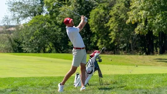 Noah Gillard - The Pfau