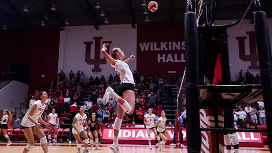 Savannah | Professional