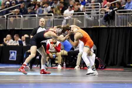 Dan Fongaro | Action