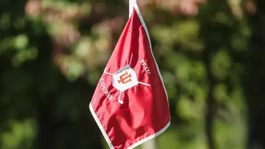 The Pfau Course - pin flag
