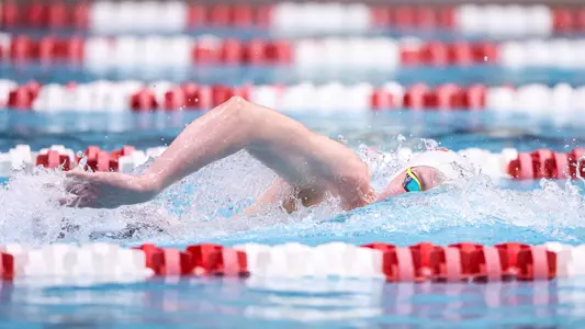 Indiana Swimming and Diving