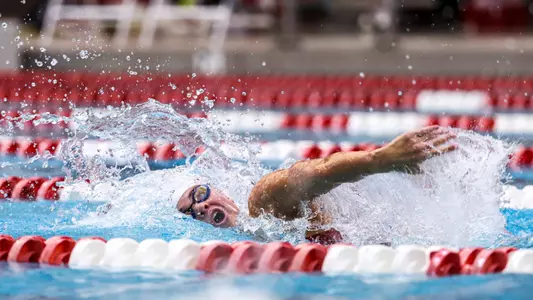 Indiana Swimming and Diving