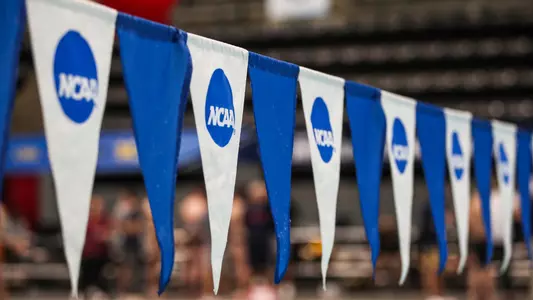 Indiana Swimming and Diving