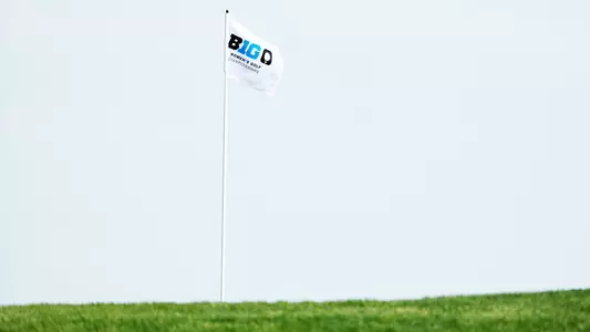 Big Ten Championships Flag