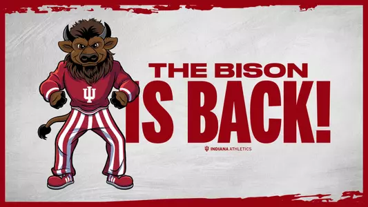 Hoosier The Bison