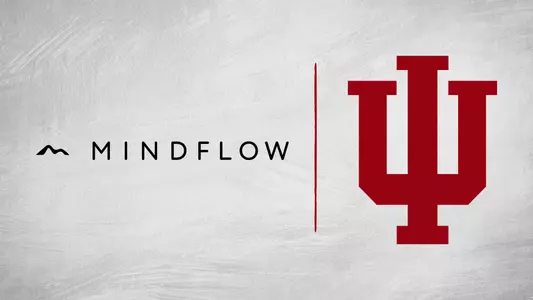 Mindflow Partnership