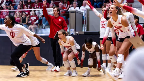 Volleyball | Kentucky