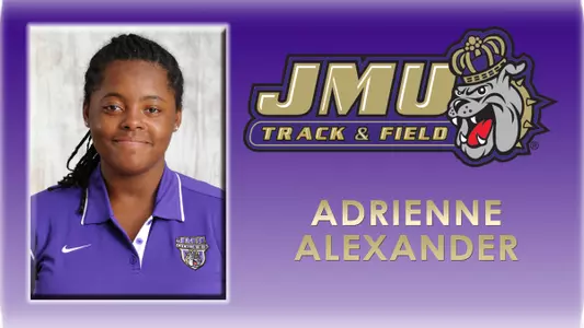 Adrienne Alexander Web Art*