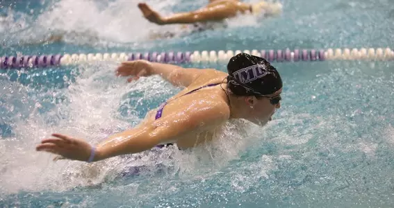 Swim Purple vs Gold
