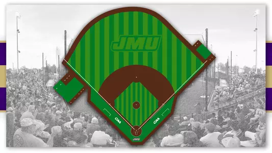 New Baseball Turf 2019