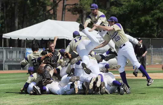 2011 Baseball Dogpile