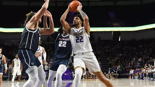 Julien Wooden