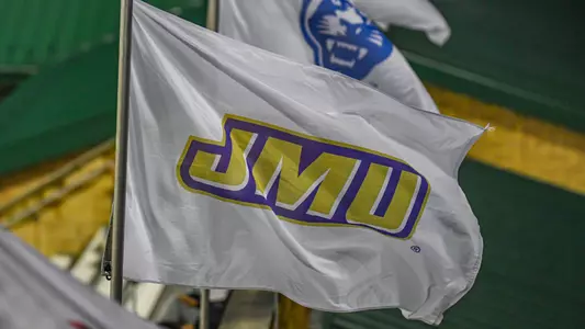 JMU Flag Sentara Park