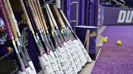 Softball bats leaning against dugout