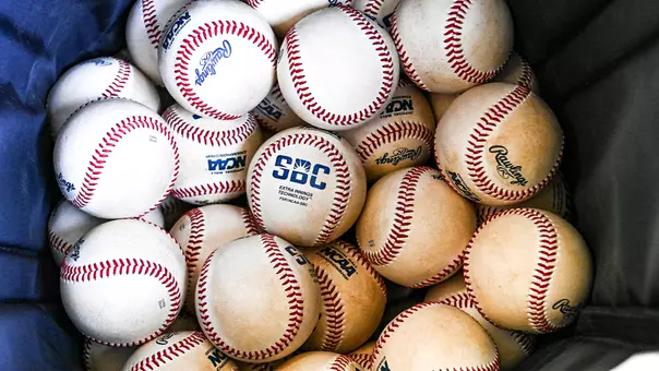A bunch of baseballs in a bag.